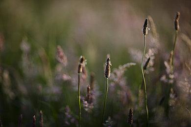 日恐新游《暗夜-S邸-》开启众筹 2025年夏季发售